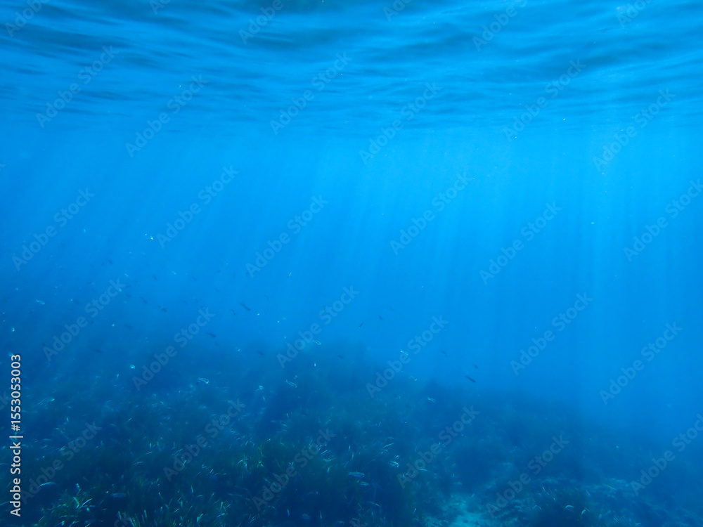 Obraz premium Ocean blue underwater with sunrays, Underwater Sea Deep Water Abstract Sunshine, sea wave , clean waters in summer time, Natural underwater seascape, sand on ocean floor and water surface with sunligh
