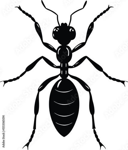 Silhouette of an Ant