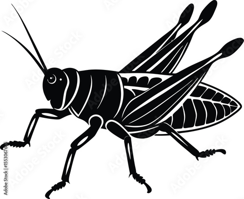 Silhouette of a Grasshopper