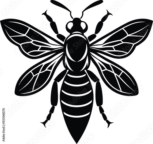 Silhouette of a Hornet