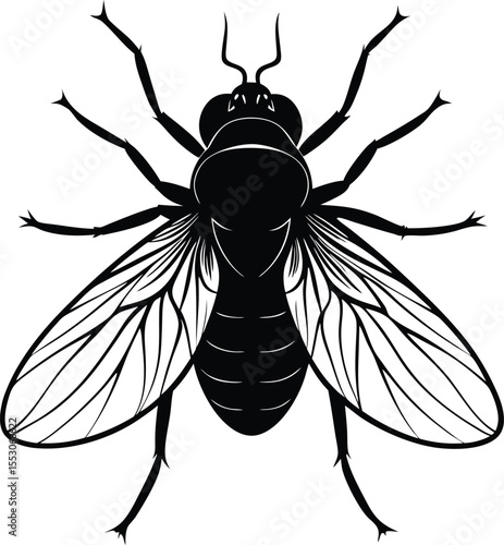 Silhouette of a Housefly