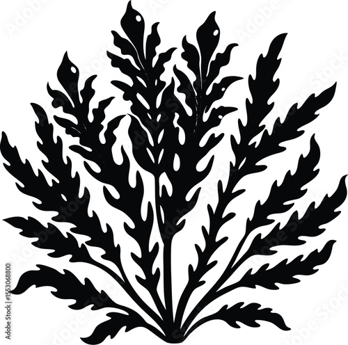 Silhouette of a Kelp Plant
