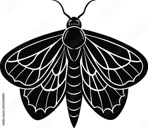 Silhouette of a Moth
