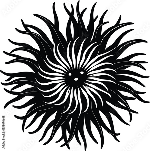 Silhouette of a Sea Anemone