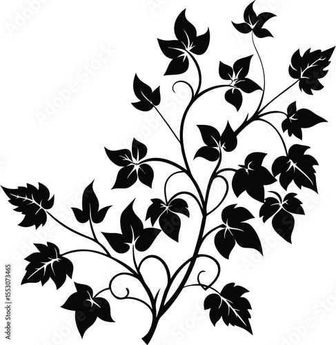 Silhouette of a Vine Plant