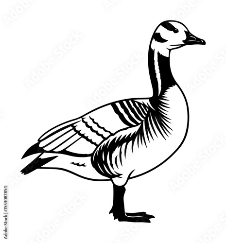 Goose bird silhouette vintage style vector