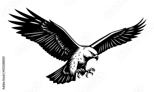 flying eagle with spread wings in attack pose, bold black and white vector in engraving style