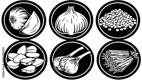 Illustration of garlic clove and bulb lentils almonds shallots and asparagus in black and white circles