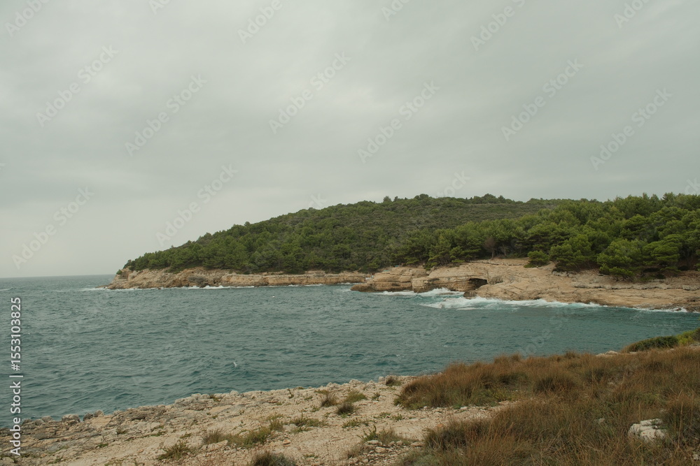 Fototapeta premium Panoramic view of a rocky Adriatic coastline covered with dense Mediterranean pine forest under a moody sky. Calm sea water with a few floating buoys.