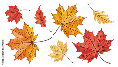 Hand-drawn fall leaves in red, yellow, and orange shades scattered on a white background, perfect for seasonal or Thanksgiving designs.
