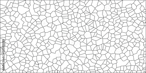 Abstract geometric cellular pattern black lines on white background cellular structure artwork design suitable for textures and backdrops