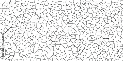 Abstract geometric pattern of irregular cell structures in monochrome black and white design for background
