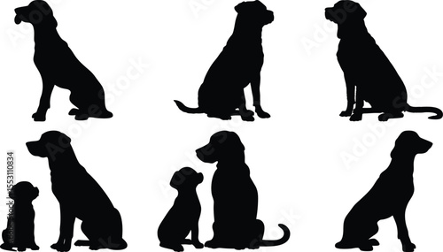 Dog Jumping and Running