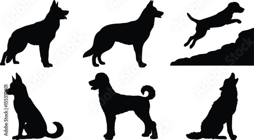 Dog Posing in Motion