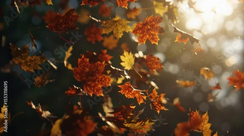 Cinematic slow-motion video of colorful autumn leaves spinning and floating gracefully in the air, illuminated by a warm backlight.

