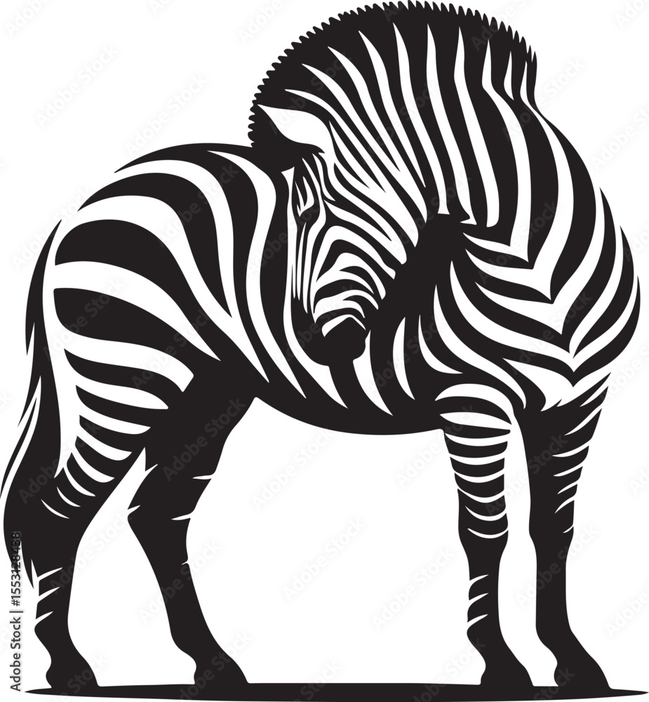 Fototapeta premium A silhouette zebra vector