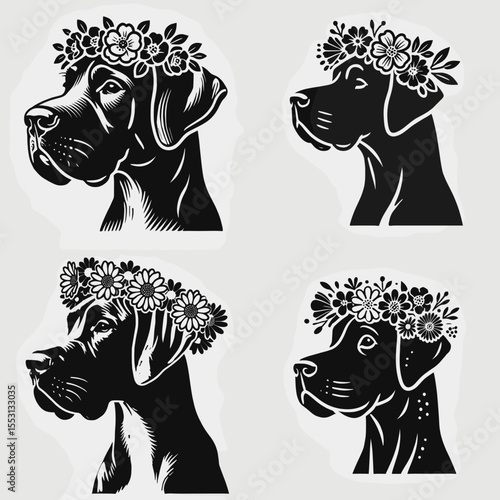 Great Dane Dog. With Flower Crown Cartoon Clipart Cowboy Silhouette Line Art Vector Illustration. Large harlequin canine breed info size care temperament nature.