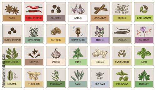 Stickers for kitchen with herbs and spices