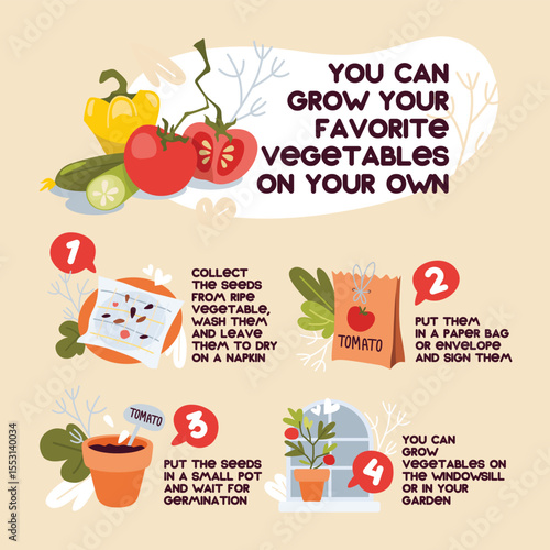 Illustration infographic growing vegetables. A safe and eco-friendly way to live a conscious lifestyle.