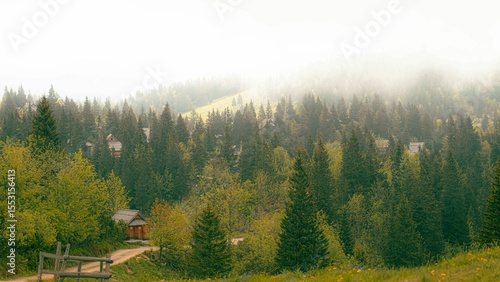 Photos Serene forest landscape with misty treetops and cabin.
