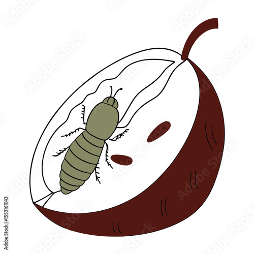 Fly maggot inside a spoiled fruit representing garden pests  