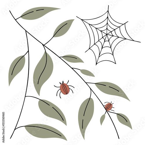 Spider mites on foliage with a web illustration showcasing garden pests  