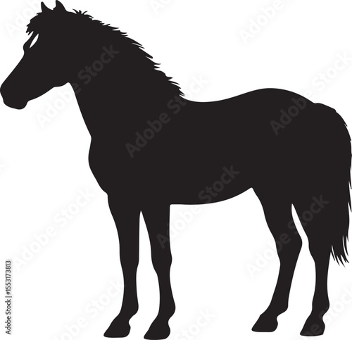American Miniature Horse in silhouette vector pure white background.
