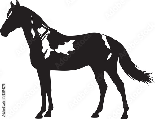 American Paint Horse in silhouette vector pure white background.