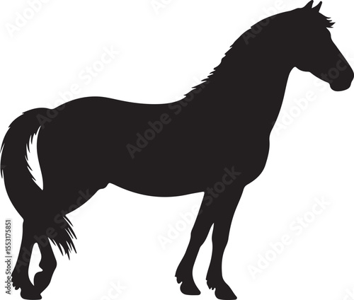 Anadolu Pony in silhouette vector pure white.