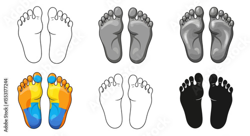 Foot Anatomy Illustration: Sole Views in Various Styles and Colors