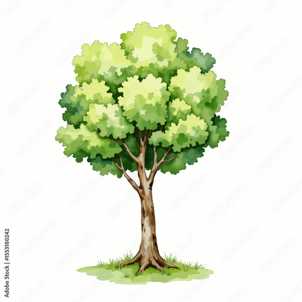 Obraz premium Green tree illustration on white background 