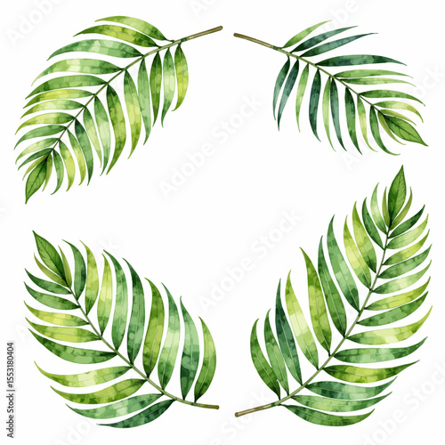 Tropical green palm leaves arranged in a circular design  