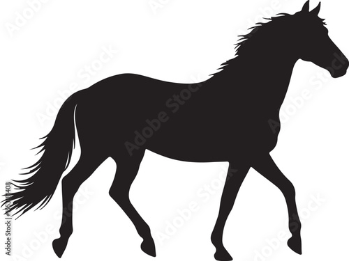 Brazilian Sport Horse in silhouette pure white background.