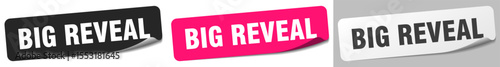 big reveal sticker. big reveal sticker set on white background