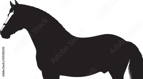 Breton horse in silhouette vector pure white background good.