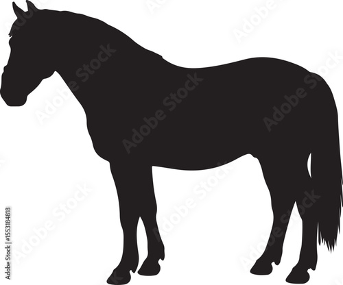 Budyonny horse in silhouette vector pure white background.