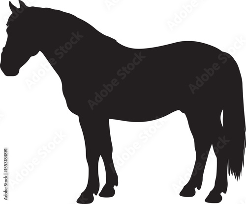 Budyonny horse in silhouette vector pure white background.