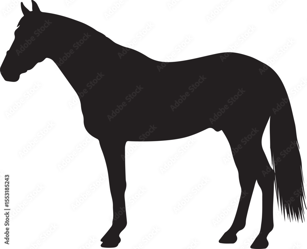 Obraz premium Burguete horsein silhouette vector pure white background good.