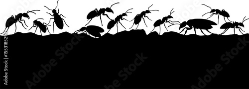 Insect Insects ant ants emmet pismire banner Vector, vector set silhouette
