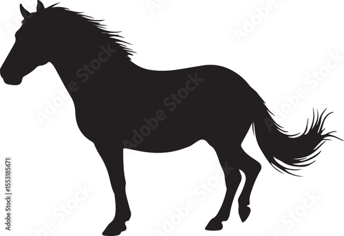 Burmese Horse in silhouette vector pure white background.