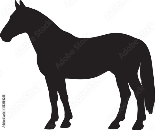  Byelorussian Harness Horse in silhouette vector pure white background.
