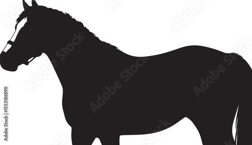  Calabrese horse in silhouette vector pure white background.