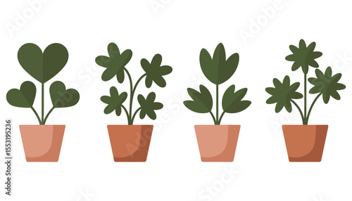 A small, green houseplant with new leaves sprouts in a white flowerpot, isolated for growth
