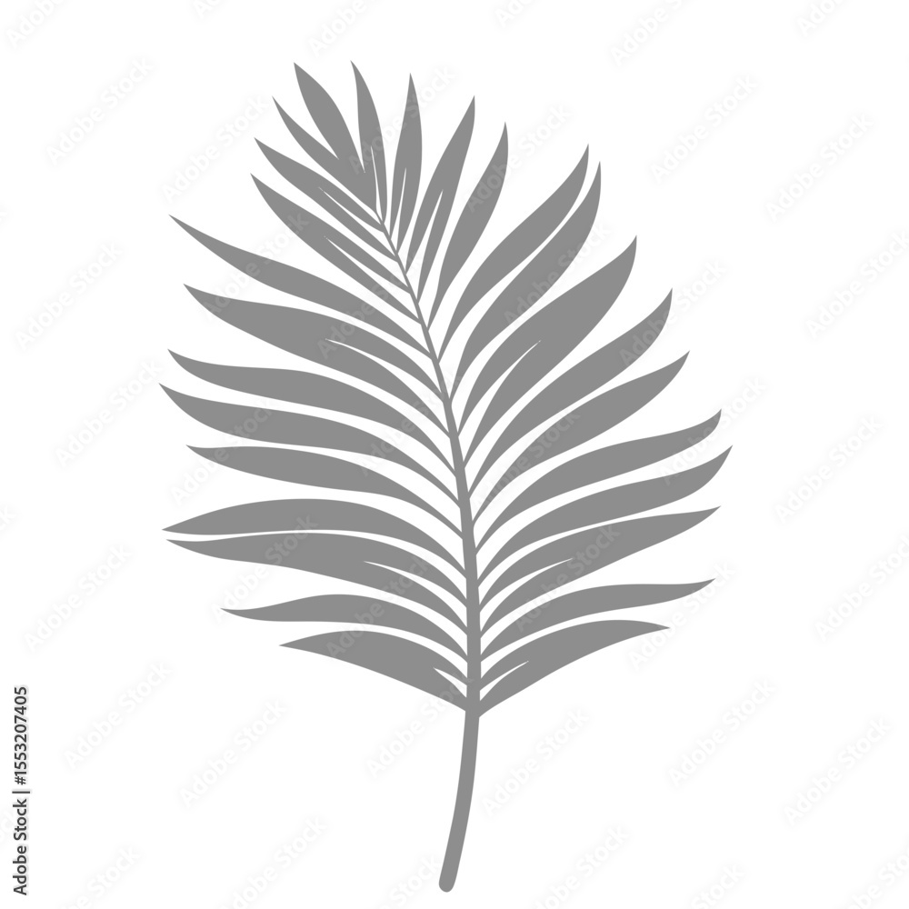 Fototapeta premium Palm Leave Illustration