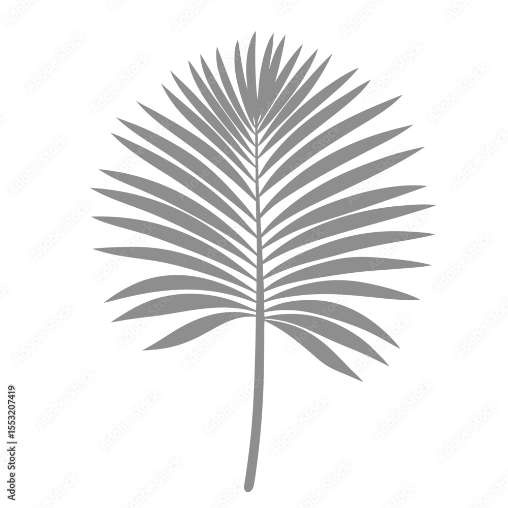 Obraz premium Palm Leave Illustration