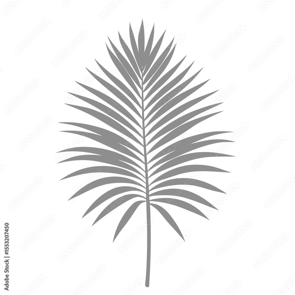 Fototapeta premium Palm Leave Illustration