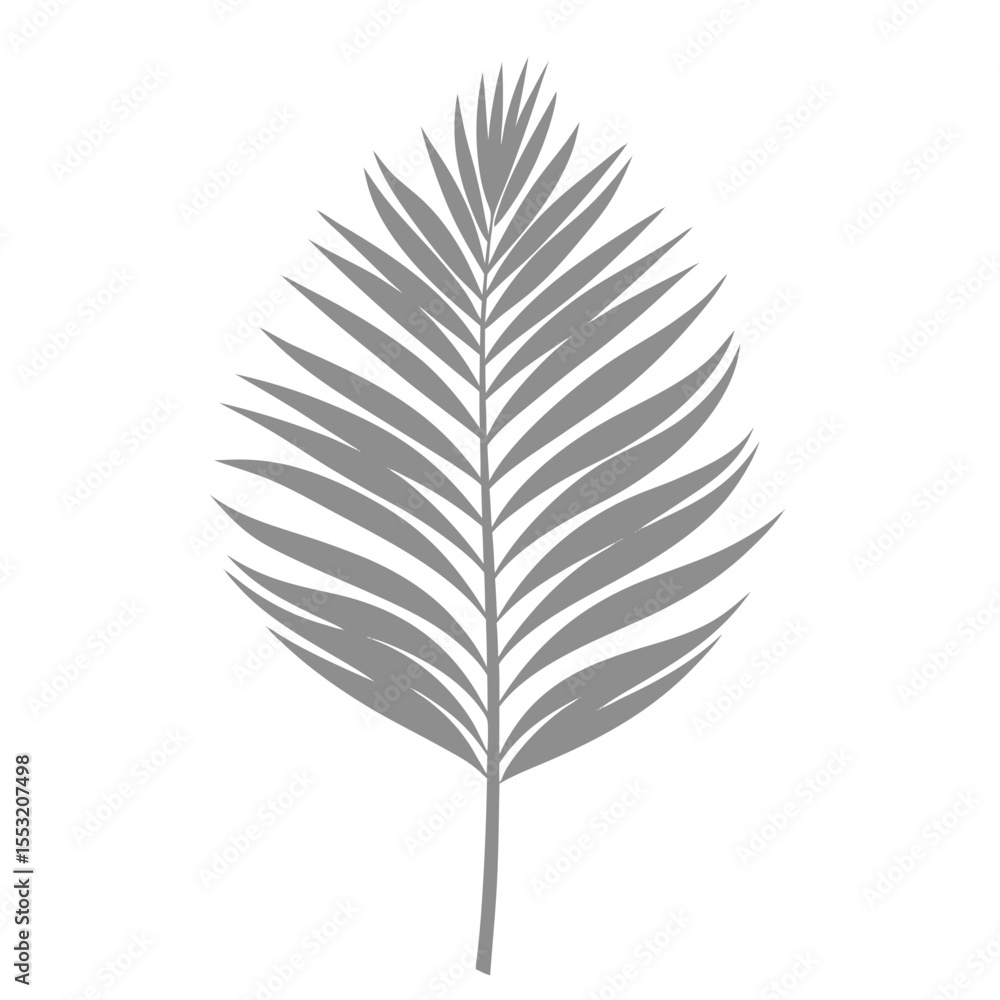 Fototapeta premium Palm Leave Illustration
