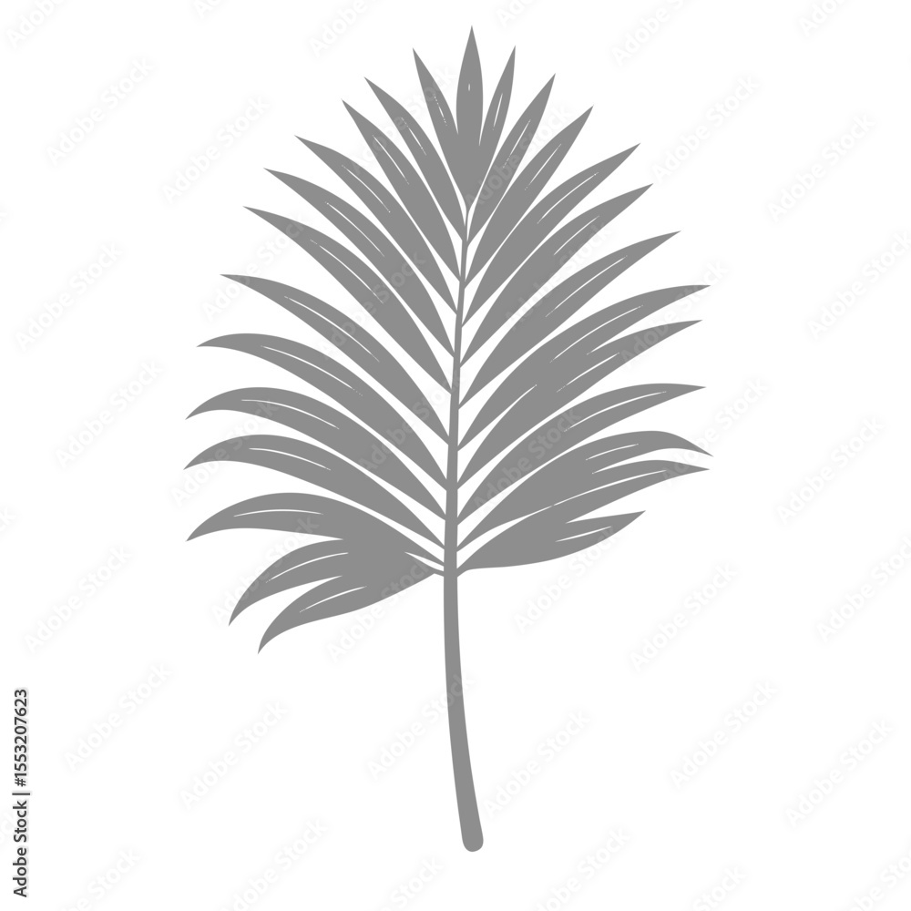 Obraz premium Palm Leave Illustration