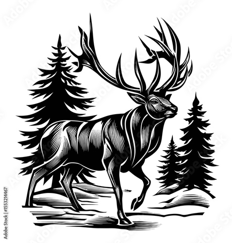 Detailed Black and White Engraving of a Majestic Deer in Forest Scene