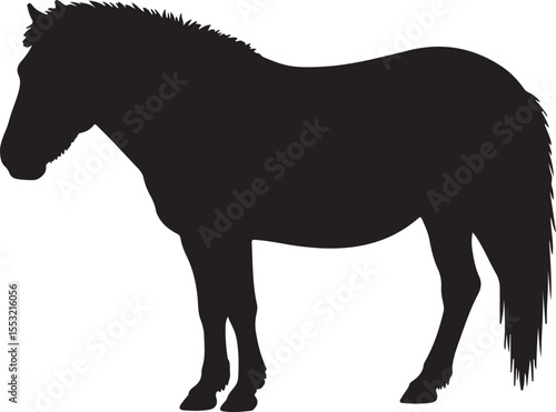 Mongolian Wild Horse, in silhouette pure white background.